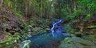 Kondalila Falls Walking Track - QLD (PB5D 00 51A0098)